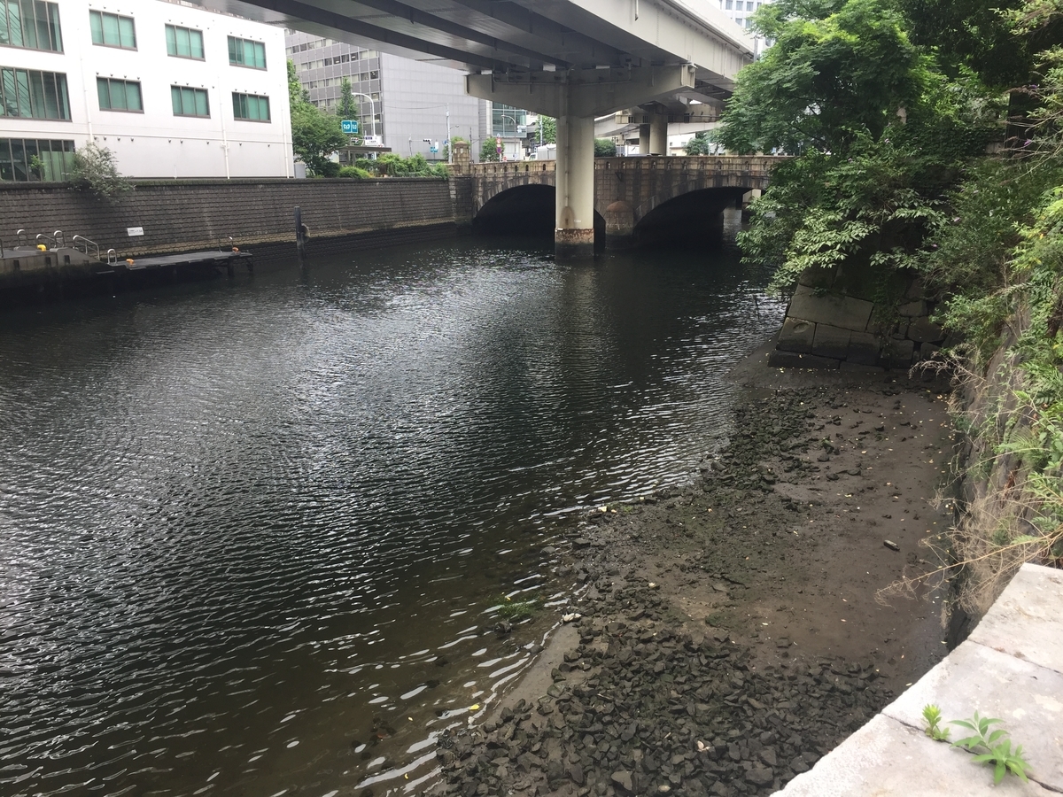 f:id:tanukifureiyu:20210623232054j:plain