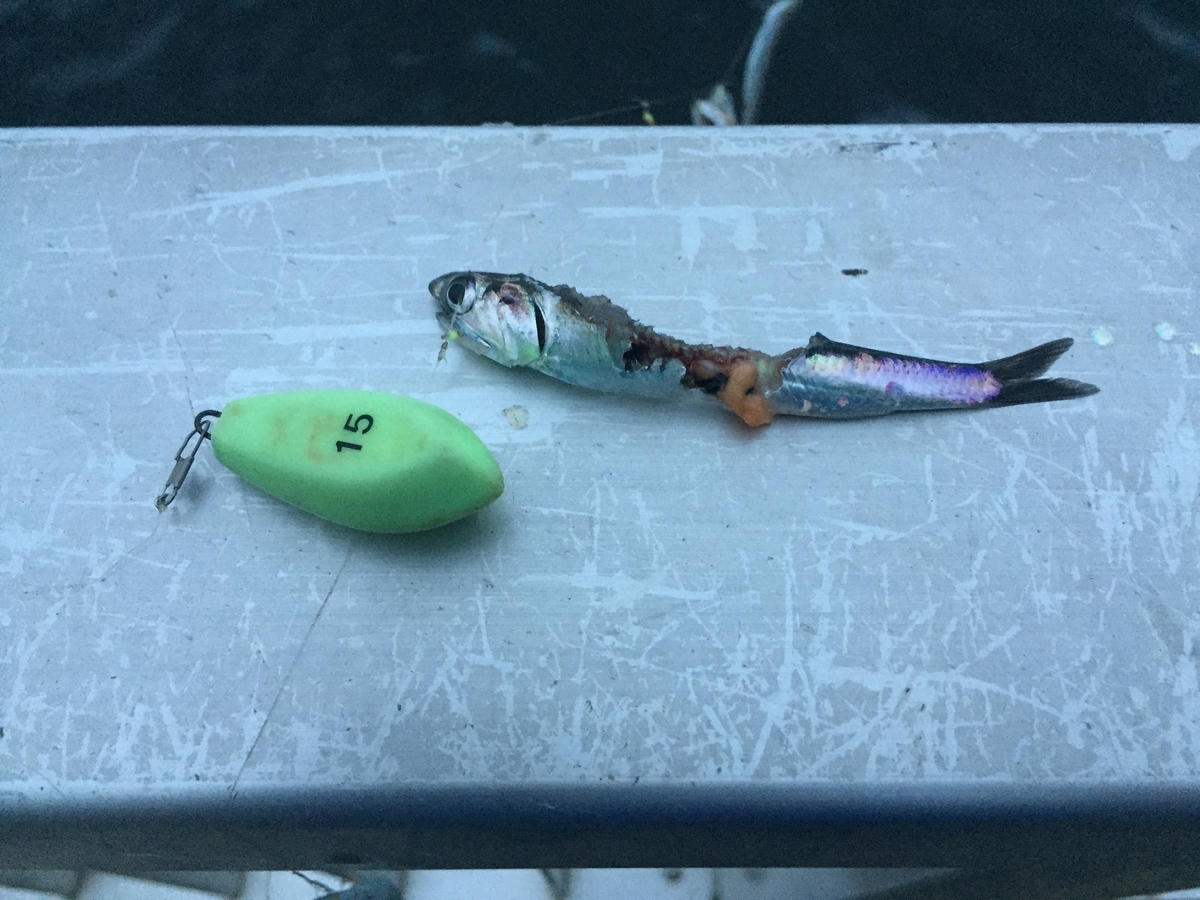 f:id:tanukifureiyu:20210630233329j:plain