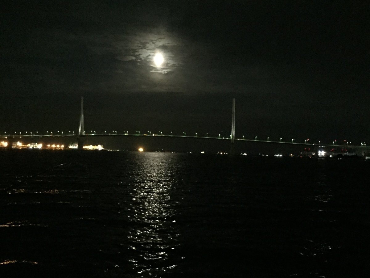 f:id:tanukifureiyu:20210630233407j:plain