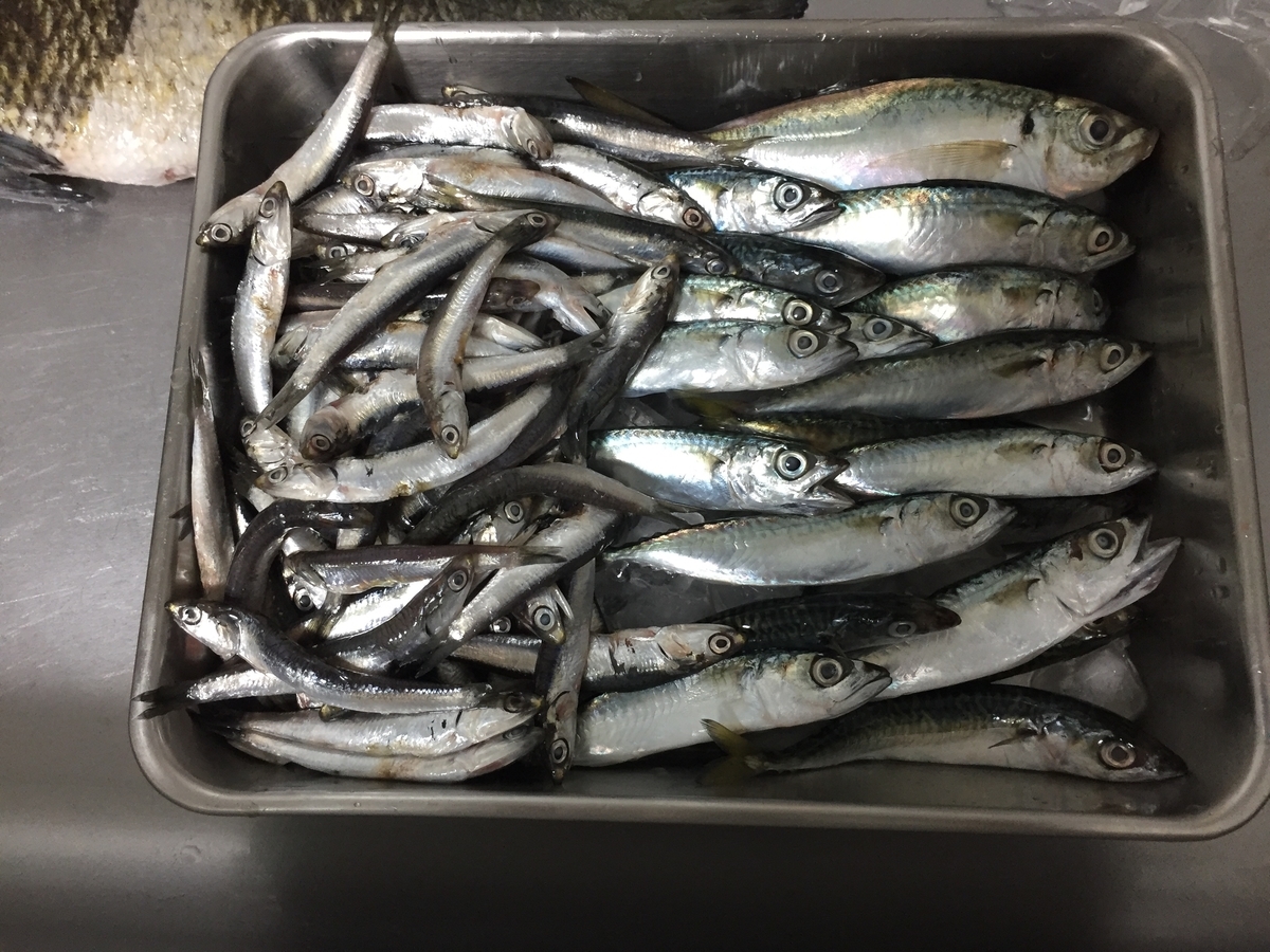 f:id:tanukifureiyu:20210630233701j:plain