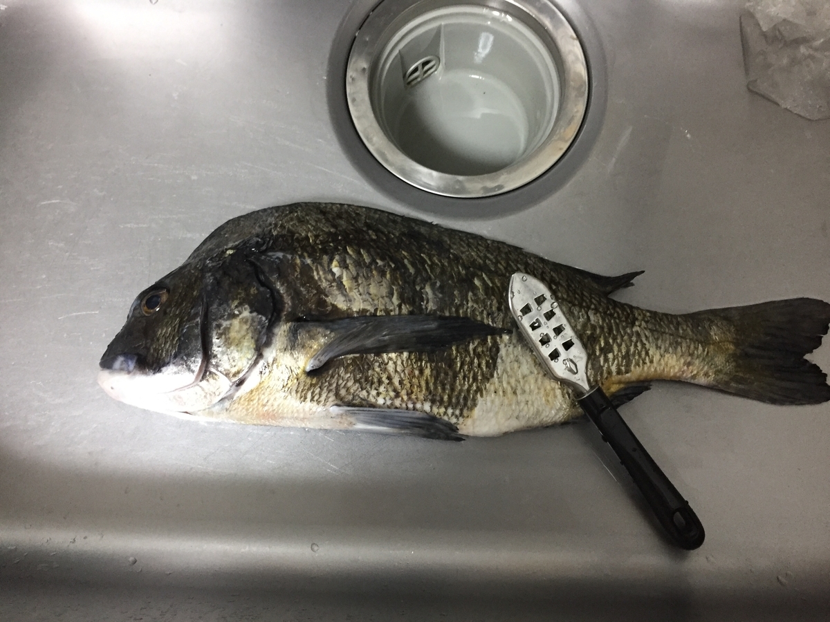 f:id:tanukifureiyu:20210630233749j:plain