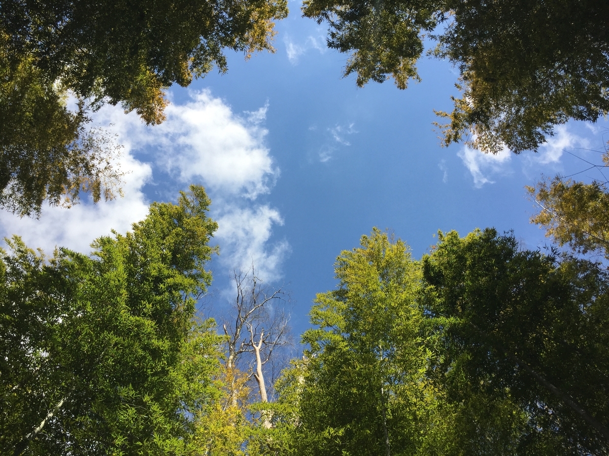 f:id:tanukifureiyu:20220227222440j:plain