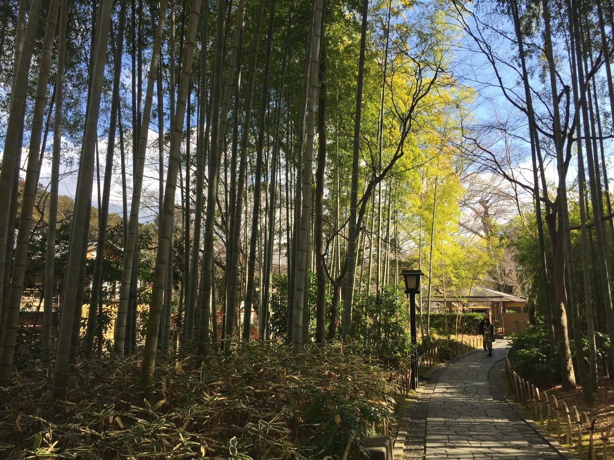 f:id:tanukifureiyu:20220227222534j:plain