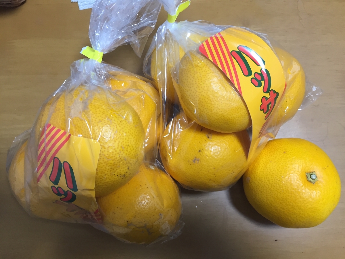 f:id:tanukifureiyu:20220227223036j:plain