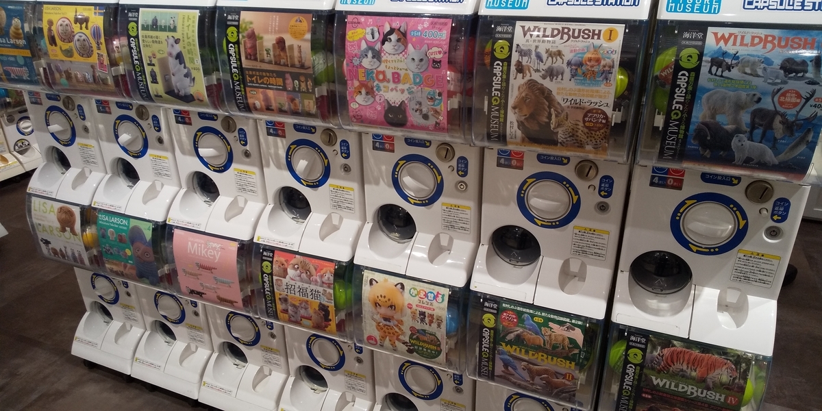 f:id:tanukimemo:20220106184652j:plain