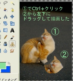 f:id:tanuking0:20091124024312j:image:right f:id:tanuking0:20091124024312j:image:right