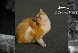 f:id:tanuking0:20091124141339j:image f:id:tanuking0:20091124141339j:image