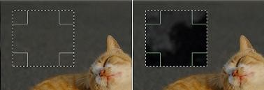 f:id:tanuking0:20091124143129j:image f:id:tanuking0:20091124143129j:image