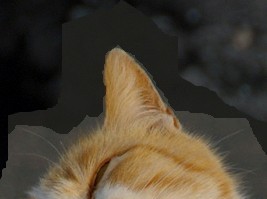 f:id:tanuking0:20091124154403j:image:right f:id:tanuking0:20091124154403j:image:right