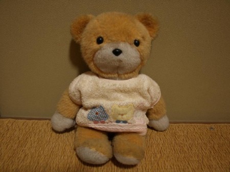 f:id:tanukithi:20081026222514j:image:w300
