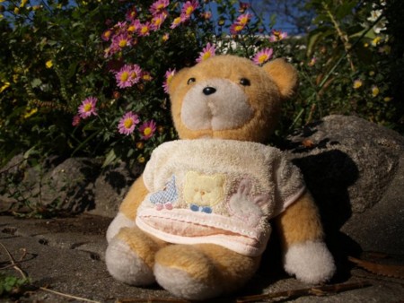 f:id:tanukithi:20081027113424j:image:w300
