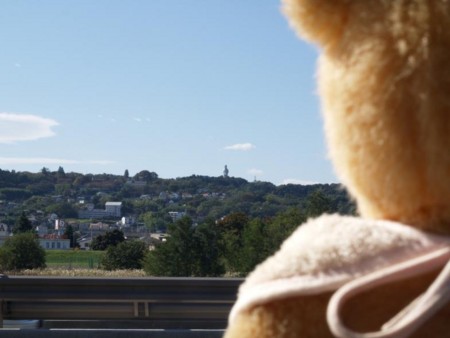 f:id:tanukithi:20081029144655j:image:w300