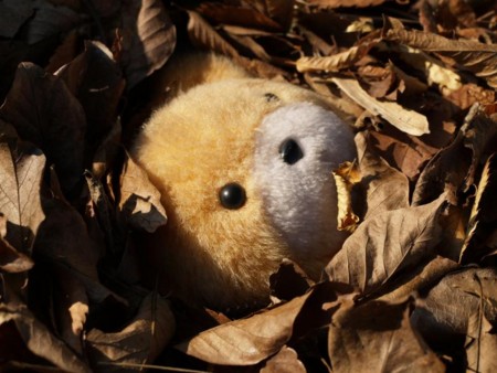 f:id:tanukithi:20081030151840j:image:w300