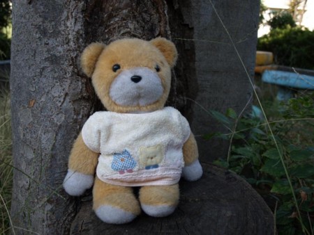 f:id:tanukithi:20081030152349j:image:w300