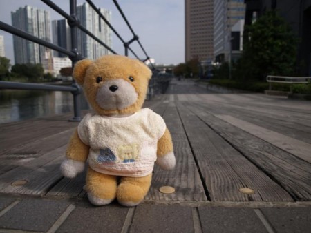 f:id:tanukithi:20081114183534j:image:w300