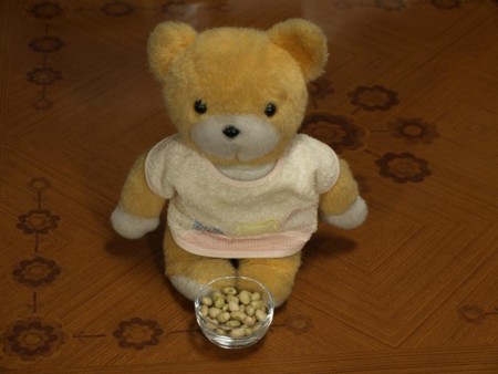 f:id:tanukithi:20090203233137j:image:w360