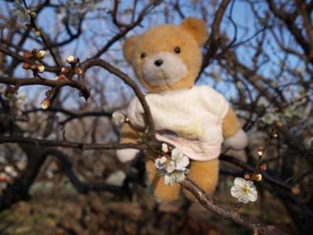 f:id:tanukithi:20090208084833j:image:w360