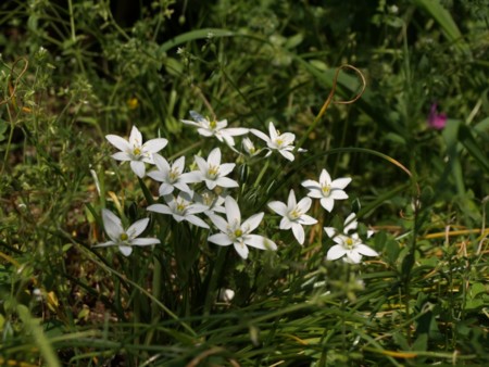 f:id:tanukithi:20090412173349j:image:w360