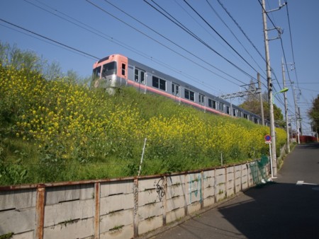f:id:tanukithi:20090412173351j:image:w360