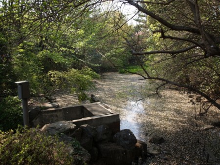 f:id:tanukithi:20090412173353j:image:w360