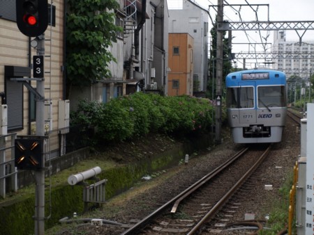 f:id:tanukithi:20090606175057j:image:w360
