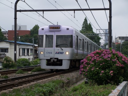 f:id:tanukithi:20090606175059j:image:w360