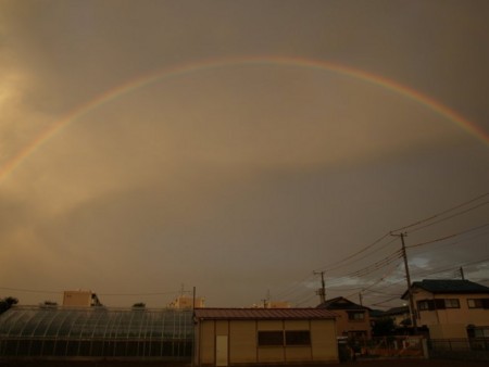 f:id:tanukithi:20090720233642j:image:w360