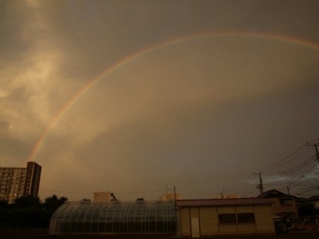 f:id:tanukithi:20090720233643j:image:w360