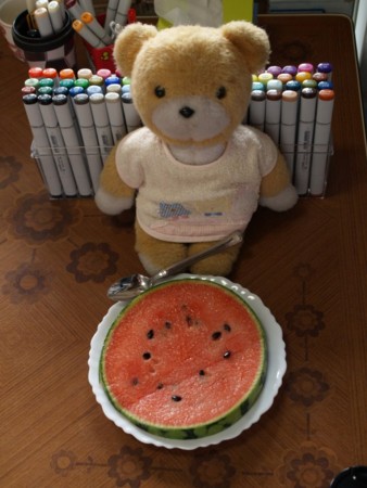 f:id:tanukithi:20090721040938j:image:w300