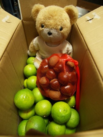 f:id:tanukithi:20091003053420j:image