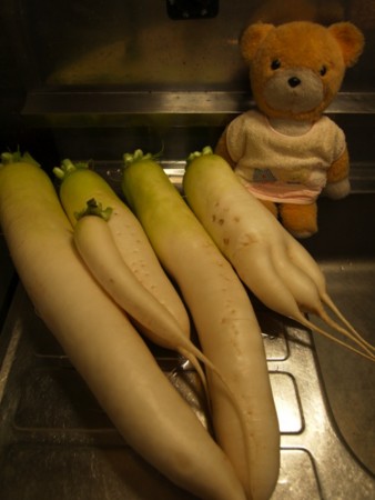 f:id:tanukithi:20091202164104j:image:w360