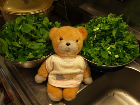 f:id:tanukithi:20091202164105j:image:w360