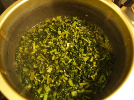 f:id:tanukithi:20091202164107j:image:w360
