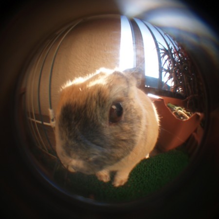 f:id:tanukithi:20091208230743j:image:w400