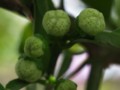 20100504140204