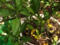 20100504140205