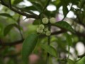 20100507132528