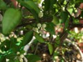 20100509140131