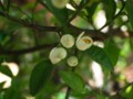 20100512223109