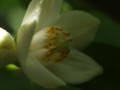 20100513154555