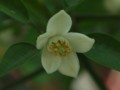 20100513154556