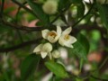 20100513154558
