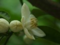 20100514160802