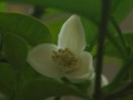 20100514160803