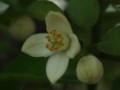 20100514160804