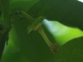 20100523125018