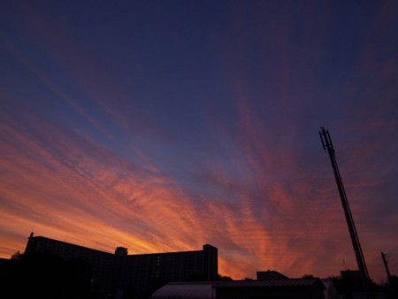 f:id:tanukithi:20100625232239j:image:w360