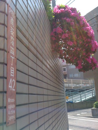f:id:tanukithi:20110425100833j:image