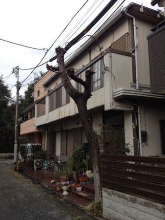 f:id:tanukithi:20160225101222j:image