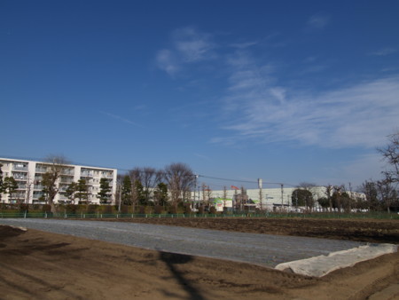 f:id:tanukithi:20180210143903j:image